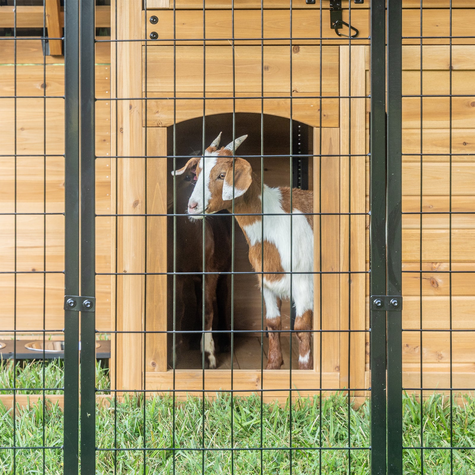 Animal Enclosure — manufacturer photo 12