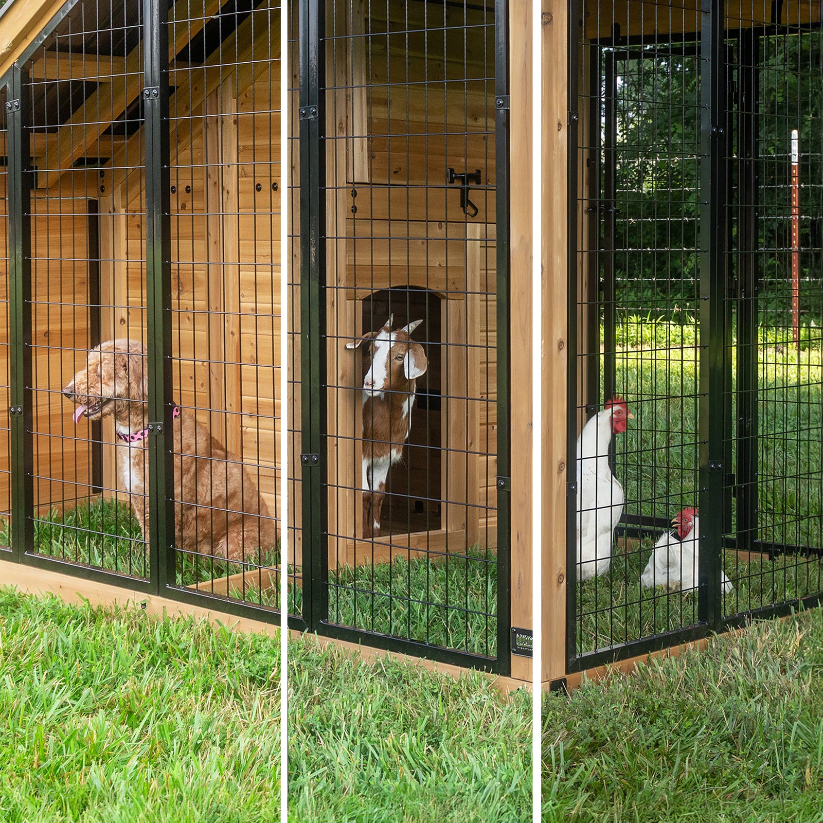 Animal Enclosure — manufacturer photo 5