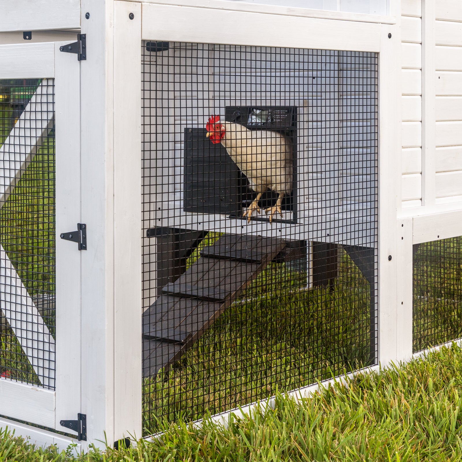Sweetwater Chicken Coop — manufacturer photo 6