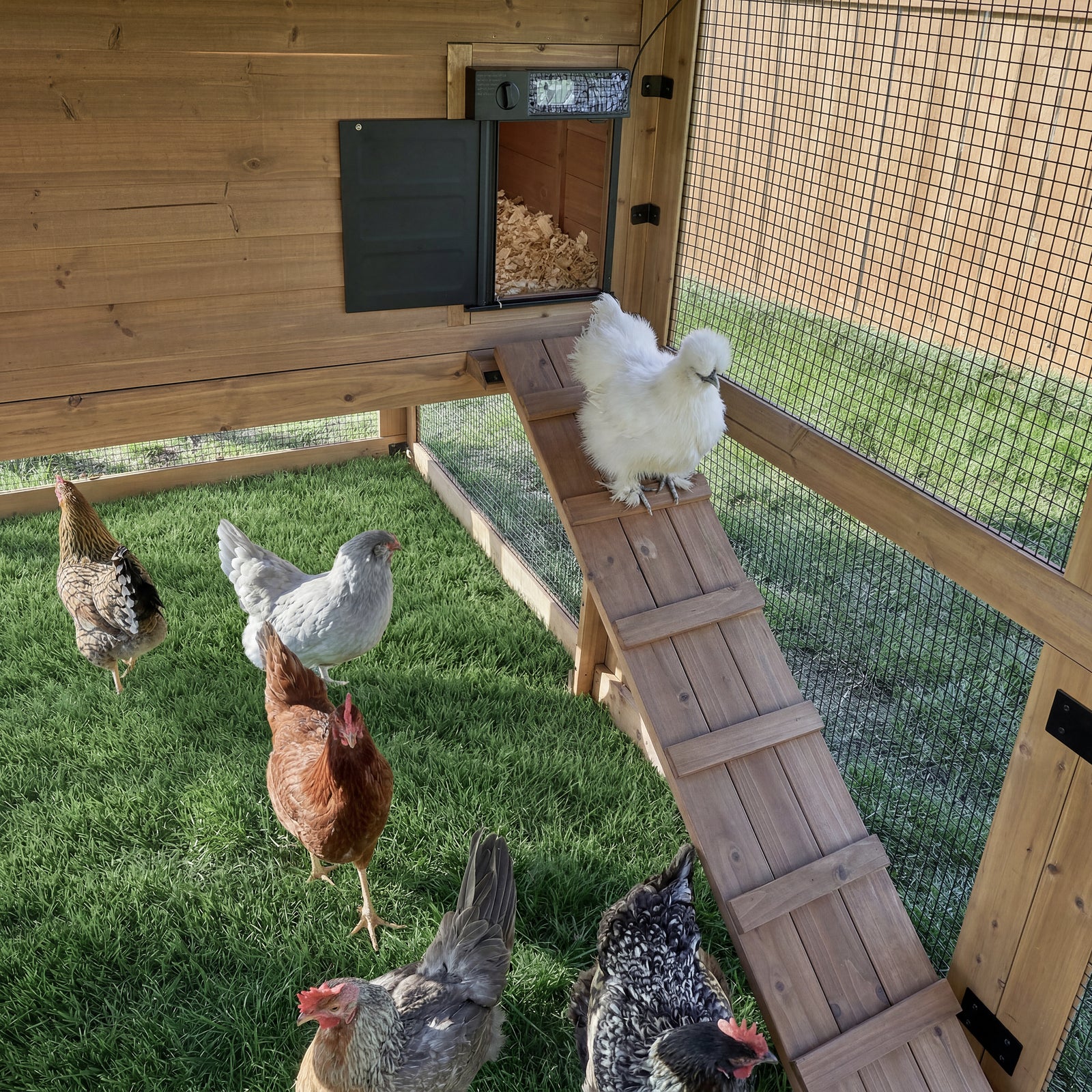 Rustic Roots Chicken Coop — manufacturer photo 6