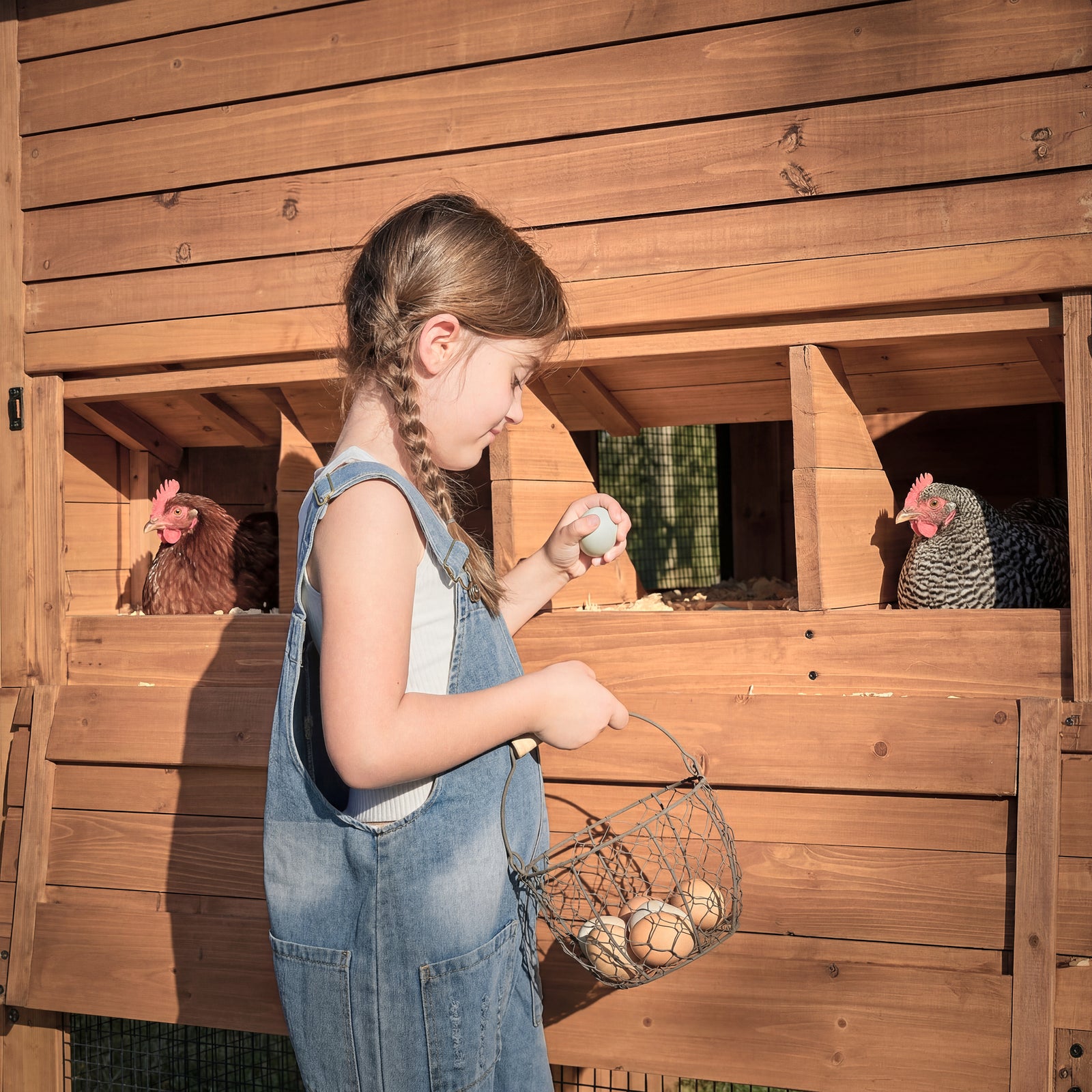 Rustic Roots Chicken Coop — manufacturer photo 11